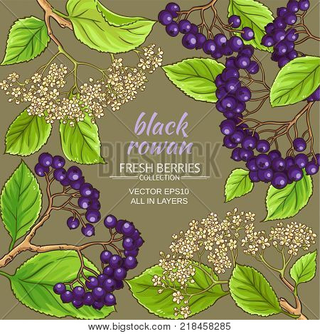black rowan vector frame on color background