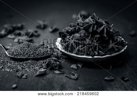 Close up of star aniseed,Illicium verum in a plate with its powder.