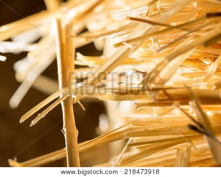 background of dry hay . In the park in nature