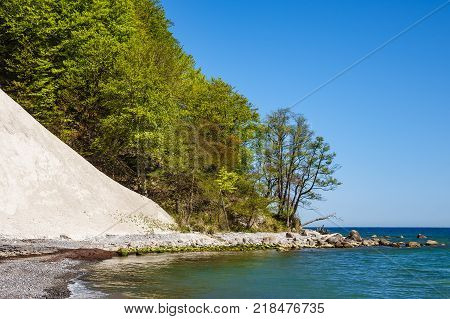 Chalk cliff on the island Ruegen in Germany.