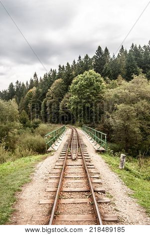 Bieszczadzka Kolejka Lesna - narrow-gauge railway with bridge and forest on the background near Cisna village in Biesczady mountains in southeastern part of Poland near borders with Slovakia
