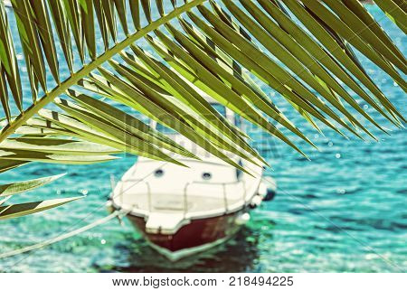 Beautiful palm tree and little boat in Maslinica Solta island Croatia. Summer vacation destination. Seasonal natural scene. Retro photo filter.