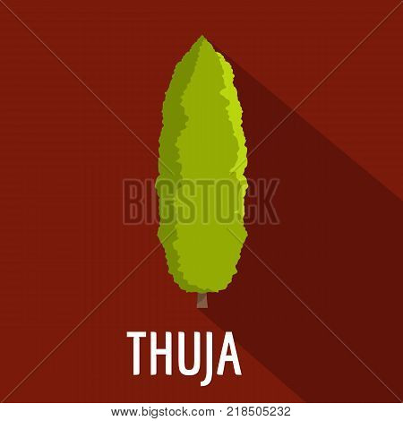 Thuja tree icon. Flat illustration of thuja tree vector icon for web