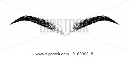 Unibrow Shaping Eyebrows. Waxing Hair On The Face. Mono Eyebrow Before Correction. The Concept Of De