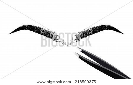 Unibrow Shaping Eyebrows. Waxing Hair On The Face. Mono Eyebrow Before Correction. The Concept Of De
