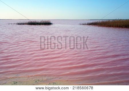 Sivash lake. Ukraine.  Landscape with salty sea where the salt is extracted in Sivash