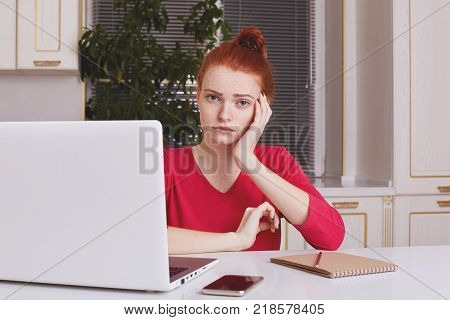 Attractive Female Student With Ginger Hair Bun Thinks About Coursework Strategy, Works With Laptop C