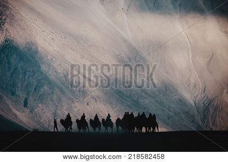 Silhouette image of camels caravan in the Hunder desert Nubra valley India