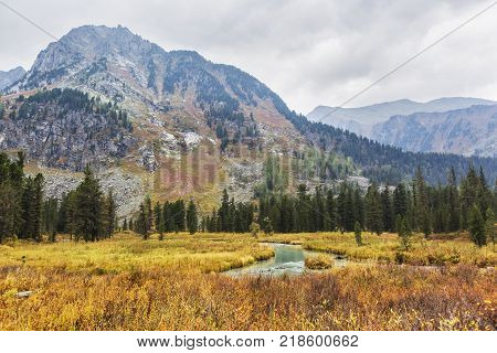 Multa river Altai mountains golden autumn landscape