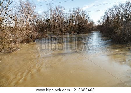 The river after the downpours came out of the banks. Flooding of river bank, trees after flood