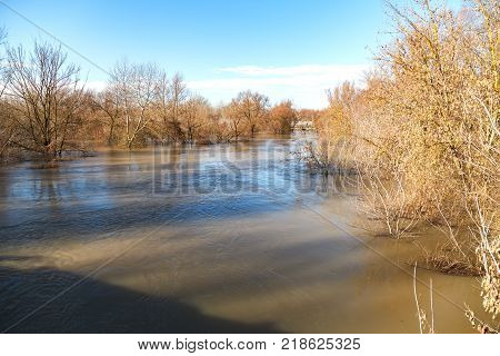 The river after the downpours came out of the banks. Flooding of river bank, trees after flood