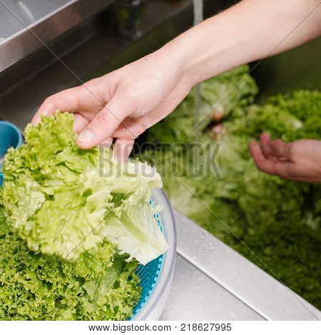 Food hygiene at a restaurant. Cook washing green salad in a kitchen sink before adding it to a meal.