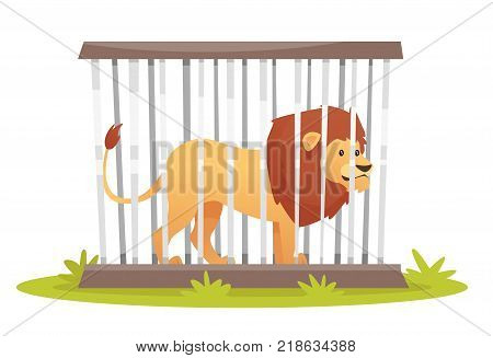 Vector cartoon style illustration of wild lion in cage isolated on white background.