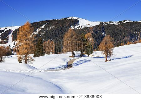 Snow-covered mountains in winter, Langkofel and Plattkofel mountains, Seiser Alm, Alpe di Siusi, Dolomites, South Tyrol, Alps, Italy
