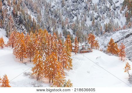 Mountain near Campitello di fassa, Dolomites Alps, Italy