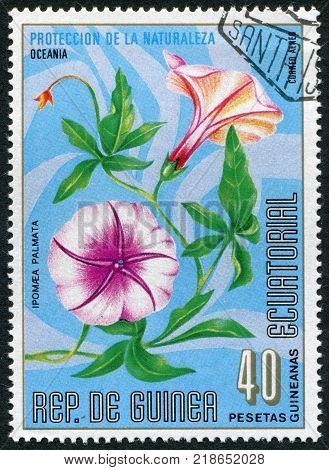 EQUATORIAL GUINEA - CIRCA 1976: A stamp printed in the Equatorial Guinea shows the flower of Ipomoea Palmata (Morning glory) circa 1976