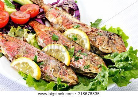 Grilled red fish with lettuce and lemon