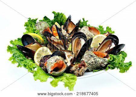 Mussels and shells seafood with lettuce and lemon