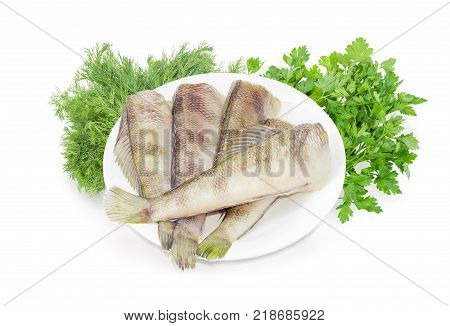 Several uncooked carcasses of the notothenia fish without of the heads on a white dish on a background of dill and parsley bunches on a white background