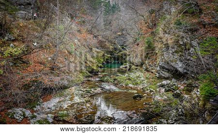 Soteska Vintgar, The Vintgar Gorge Or Bled Gorge In Slovenia.