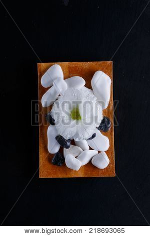 On a black background there is a small wooden board with a bud of a white beautiful flower, a small burning candle and a multiform pebble for spa treatments. View from above.