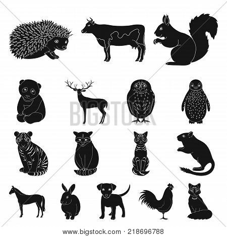 Realistic animals black icons in set collection for design. Wild and domestic animals vector symbol stock  illustration.