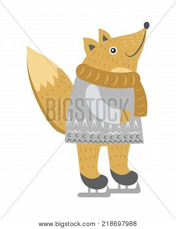 Fow isolated in warm silver sweater and golden scarf on white. Vector illustration of standing cunning wild animal with fluffy tail on skates in cartoon style. Christmas entertainments outdoors
