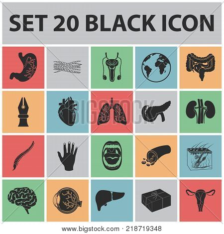 Internal organs of a human black icons in set collection for design. Anatomy and medicine vector symbol stock  illustration.