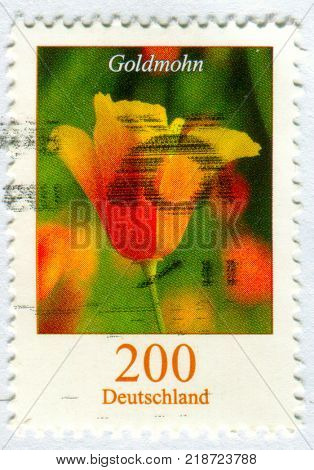 GOMEL, BELARUS, 15 DECEMBER 2017, Stamp printed in Germany shows image of the Goldmohn, circa 2017.
