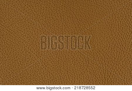 Sheet Of Plywood Made Of Lime Wood