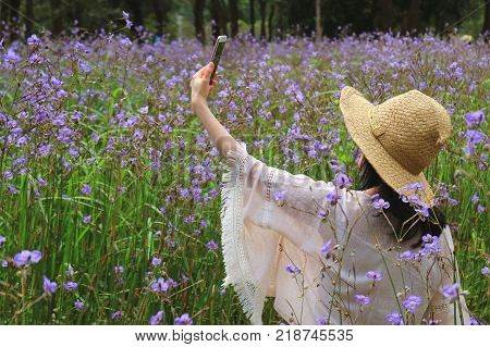 One Female Taking Selfie Picture in the Murdannia Flower Field with Her Mobile Smart Phone