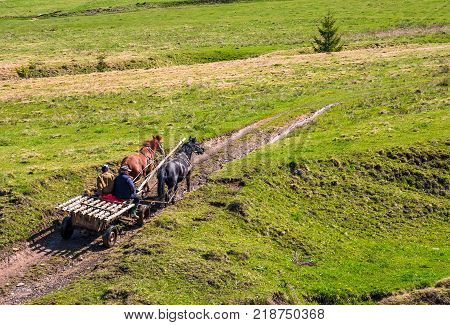 Pylypets Ukraine - May 01 2017: traffic in mountainous rural area in summer. wooden cart with two horses and two men ridge uphill the grassy