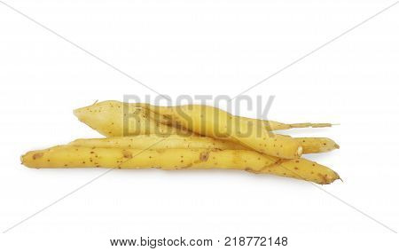 Galingale isolated on white background
and clipping path