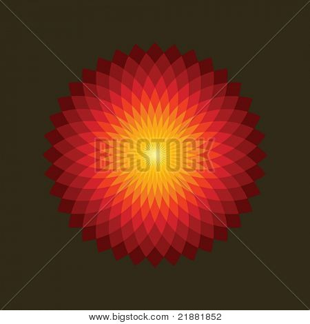 fiore rosso