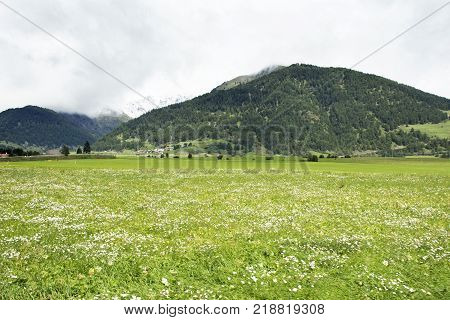 View Landscape Of Mountain And Grass Field Beside Road Near Haidepark Burgeis In Trentino-alto Adige