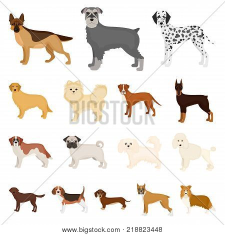 Dog breeds cartoon icons in set collection for design.Dog pet vector symbol stock  illustration.