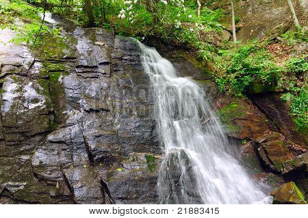 Juney Whank Falls anteriore