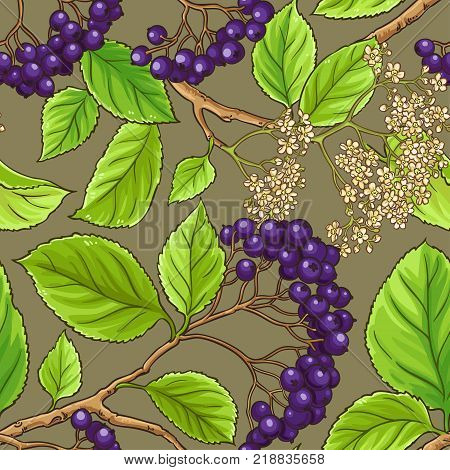 black rowan vector pattern on color background