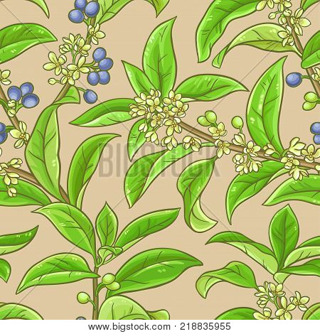 osmanthus branches vector pattern on color background