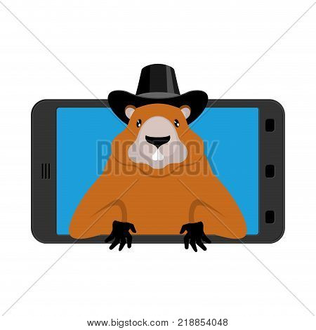 Groundhog Day. Marmot in phone. woodchuck in gadget. Online holiday. Rodent aristocrat. Illustration for National feast