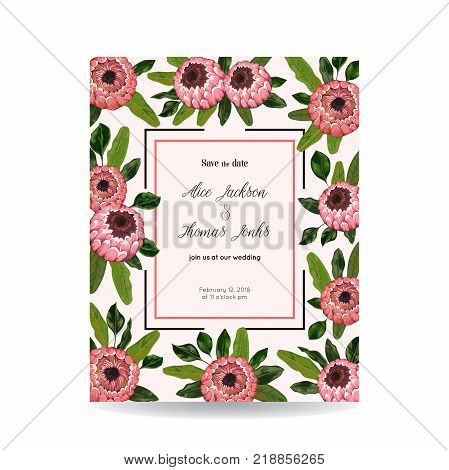 Save the date card with protea flowers and leaves. Holiday floral design for wedding invitation. Vintage hand drawn vector illustration in watercolor style