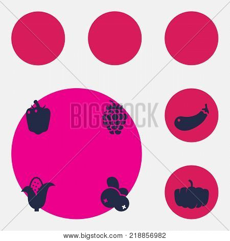 Collection Of Razz, Bulgarian Bell, Blueberry And Other Elements.  Set Of 6 Fruit Icons Set.