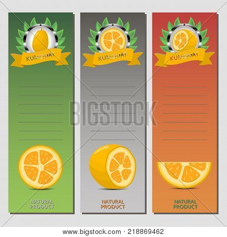 Abstract vector icon illustration logo for citrus fruit kumquat slice half pear. Kumquat pattern consisting of card label natural citruses food. Eat sweet pears Citrus fruits kumquats on health.