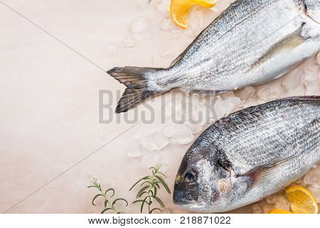 Fresh uncooked dorado or sea bream fish with ice over beige background, top view