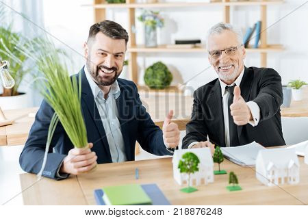 Happy colleagues. Emotional successful real estate agents feeling glad while sitting at the table in their comfortable office with their thumbs up and celebrating their productive day