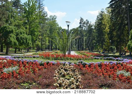 Public Park In Summer