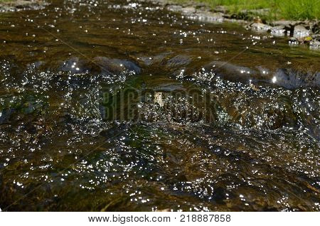Closeup Of A Stream