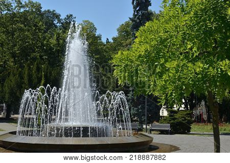 Public park with trees and fountain in summertime