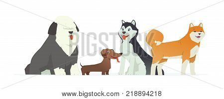 Cute dogs - modern vector cartoon characters illustration on white background. Different breeds of these pets, dachshund, bobtail, husky, akita inu. High quality composition for your banner, poster