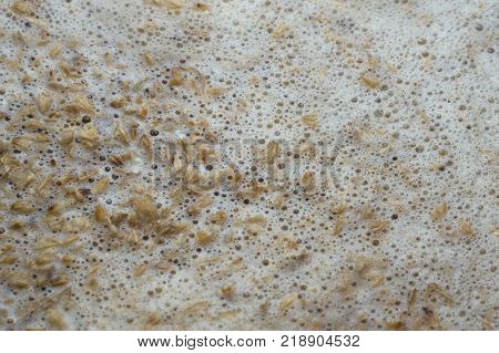 Process Of Making Home Beer From Malt. Kraft Beer From Barley And Dark Malt. Malt Surface